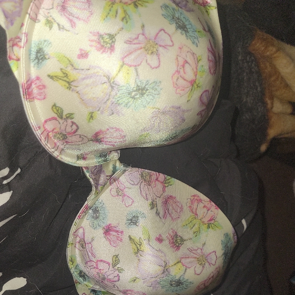 Secret Treasures Pink and Green Floral Bra